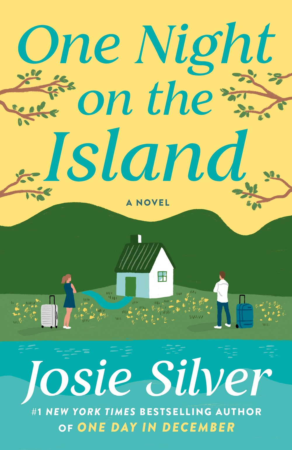 one night on the island